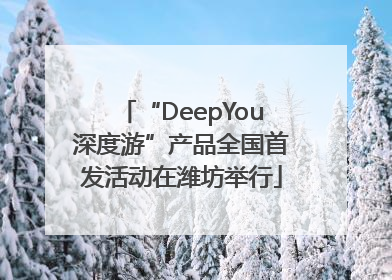 “DeepYou深度游”产品全国首发活动在潍坊举行