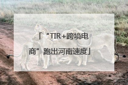 “TIR+跨境电商”跑出河南速度