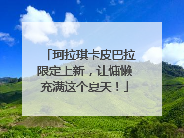 珂拉琪卡皮巴拉限定上新，让慵懒充满这个夏天！