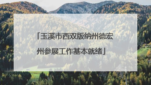玉溪市西双版纳州德宏州参展工作基本就绪