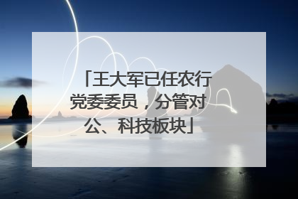 王大军已任农行党委委员，分管对公、科技板块