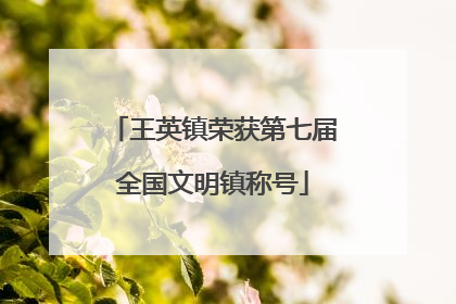 王英镇荣获第七届全国文明镇称号