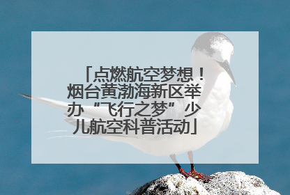 点燃航空梦想！烟台黄渤海新区举办“飞行之梦”少儿航空科普活动