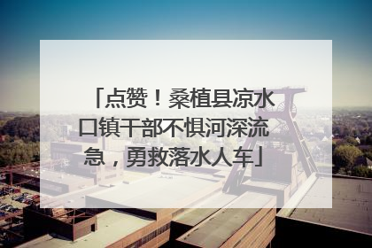 点赞！桑植县凉水口镇干部不惧河深流急，勇救落水人车