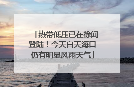 热带低压已在徐闻登陆！今天白天海口仍有明显风雨天气