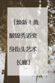 焕新！黄陂锦秀道变身街头艺术长廊