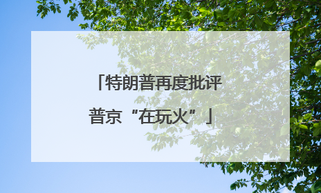 特朗普再度批评普京“在玩火”