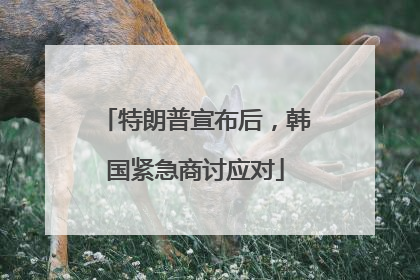 特朗普宣布后，韩国紧急商讨应对