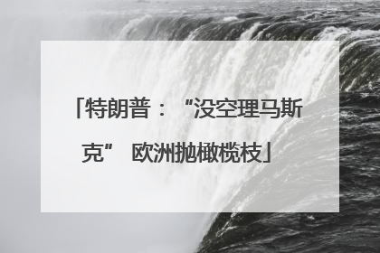 特朗普：“没空理马斯克” 欧洲抛橄榄枝