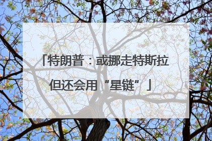 特朗普：或挪走特斯拉 但还会用“星链”