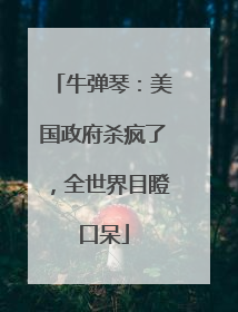 牛弹琴：美国政府杀疯了，全世界目瞪口呆