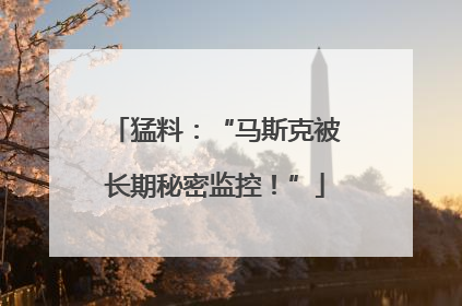 猛料：“马斯克被长期秘密监控！”