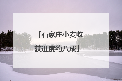 石家庄小麦收获进度约八成