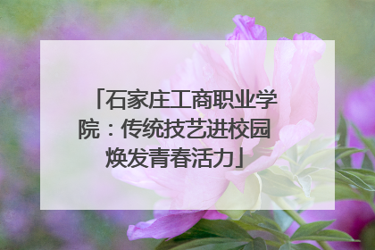 石家庄工商职业学院：传统技艺进校园焕发青春活力