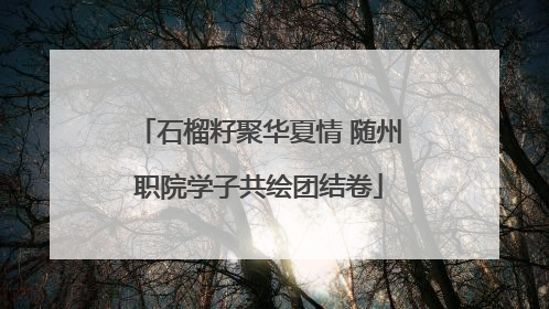 石榴籽聚华夏情 随州职院学子共绘团结卷