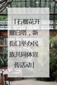 石榴花开耀白塔，新街口举办民族共同体宣传活动