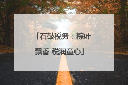 石鼓税务：粽叶飘香 税润童心