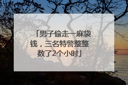 男子偷走一麻袋钱，三名特警整整数了2个小时