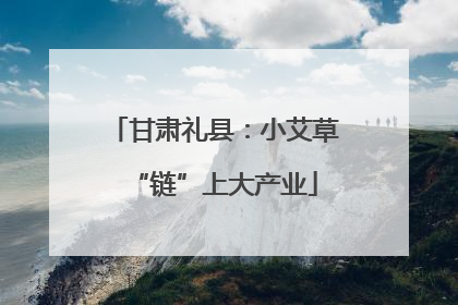 甘肃礼县：小艾草“链”上大产业