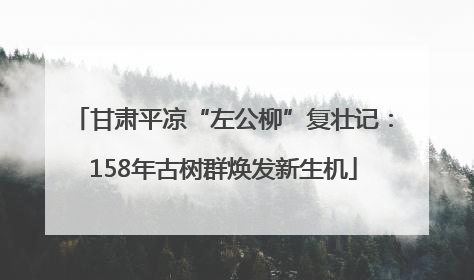 甘肃平凉“左公柳”复壮记：158年古树群焕发新生机