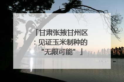 甘肃张掖甘州区：见证玉米制种的“无限可能”