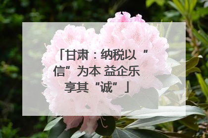 甘肃：纳税以“信”为本 益企乐享其“诚”