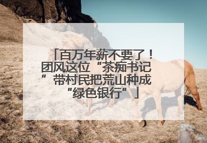 百万年薪不要了！团风这位“茶痴书记”带村民把荒山种成“绿色银行”
