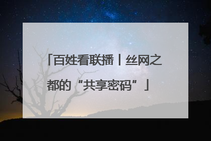 百姓看联播丨丝网之都的“共享密码”