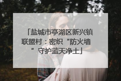 盐城市亭湖区新兴镇联盟村：密织“防火墙”守护蓝天净土