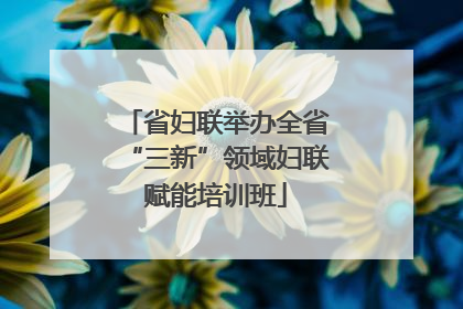 省妇联举办全省“三新”领域妇联赋能培训班