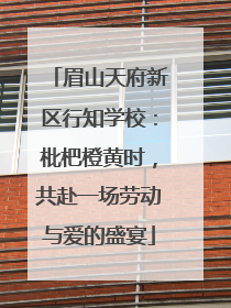 眉山天府新区行知学校：枇杷橙黄时，共赴一场劳动与爱的盛宴