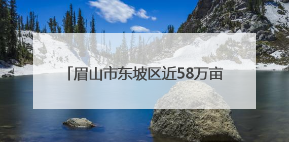 眉山市东坡区近58万亩水稻栽插面积超85%