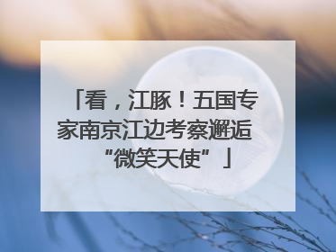 看，江豚！五国专家南京江边考察邂逅“微笑天使”