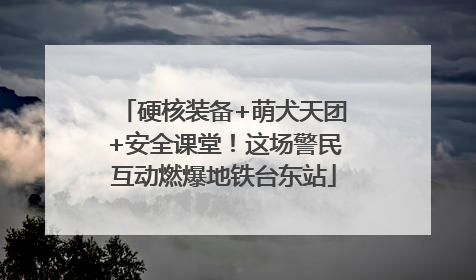 硬核装备+萌犬天团+安全课堂！这场警民互动燃爆地铁台东站