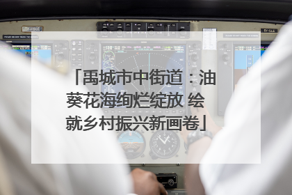 禹城市中街道：油葵花海绚烂绽放 绘就乡村振兴新画卷