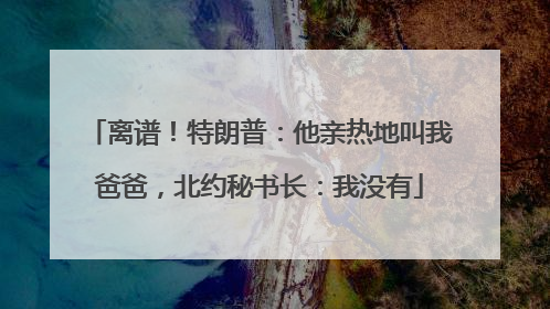 离谱！特朗普：他亲热地叫我爸爸，北约秘书长：我没有