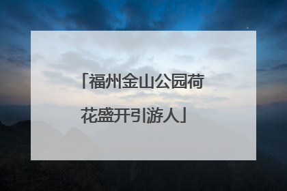 福州金山公园荷花盛开引游人