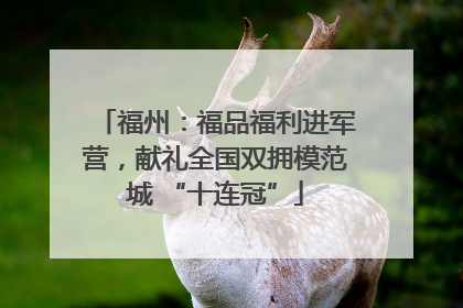 福州：福品福利进军营，献礼全国双拥模范城 “十连冠”