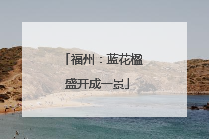 福州：蓝花楹盛开成一景