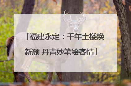 福建永定：千年土楼焕新颜 丹青妙笔绘客情