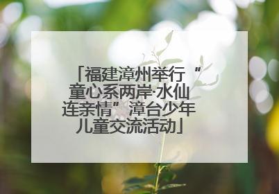 福建漳州举行“童心系两岸·水仙连亲情”漳台少年儿童交流活动