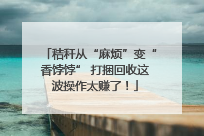 秸秆从“麻烦”变“香饽饽” 打捆回收这波操作太赚了！
