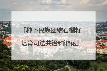 种下民族团结石榴籽 培育司法共治和谐花