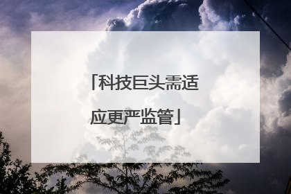 科技巨头需适应更严监管