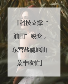 科技支撑“油田”蜕变，东营盐碱地油菜丰收忙