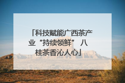 科技赋能广西茶产业“持续领鲜” 八桂茶香沁人心