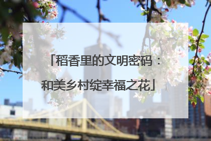 稻香里的文明密码：和美乡村绽幸福之花