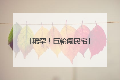 稀罕！巨轮闯民宅