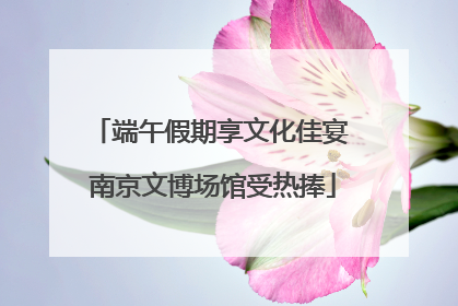 端午假期享文化佳宴 南京文博场馆受热捧