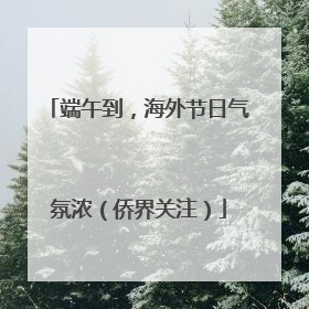 端午到，海外节日气氛浓（侨界关注）